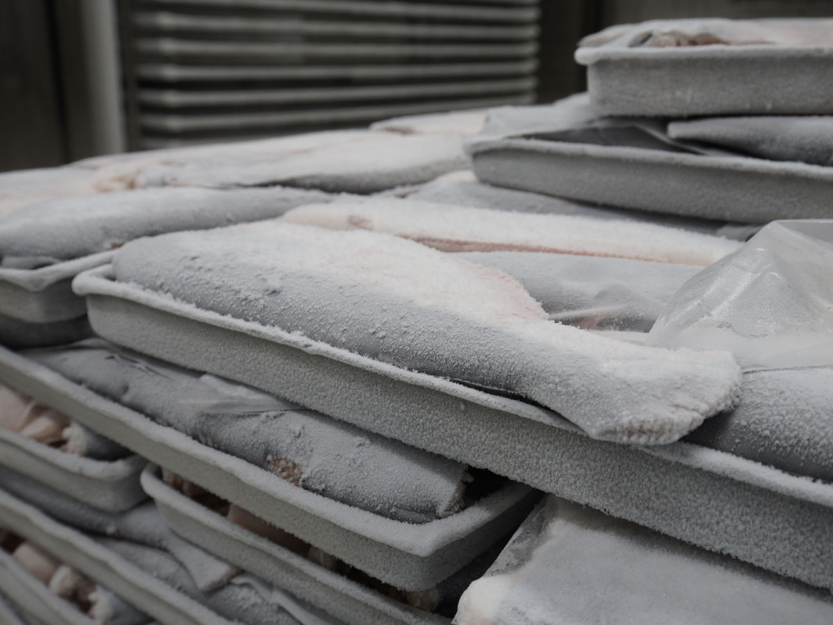 Contact Plate Freezer 8
