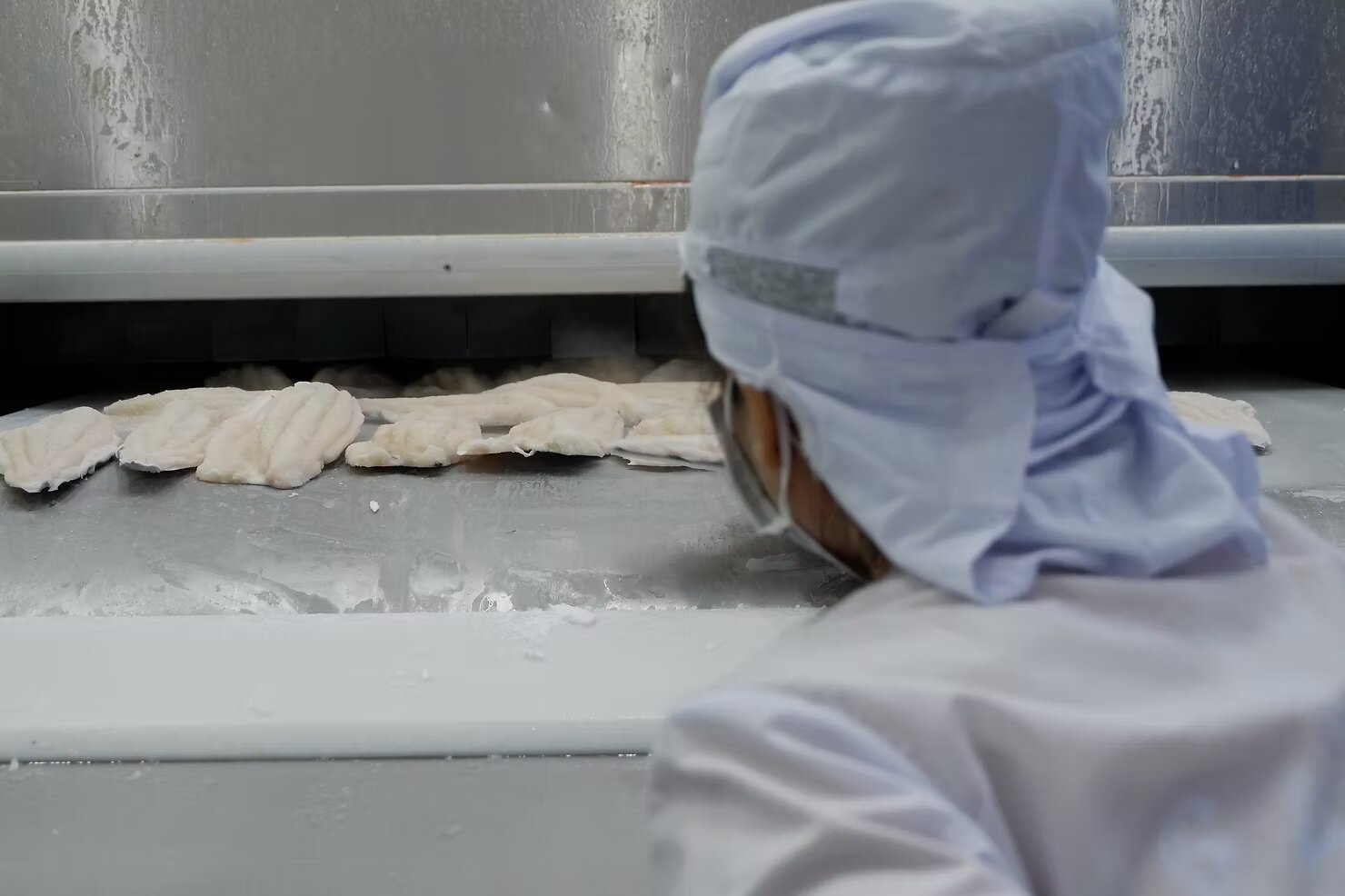 IQF Frozen Fish with Individual Freezing