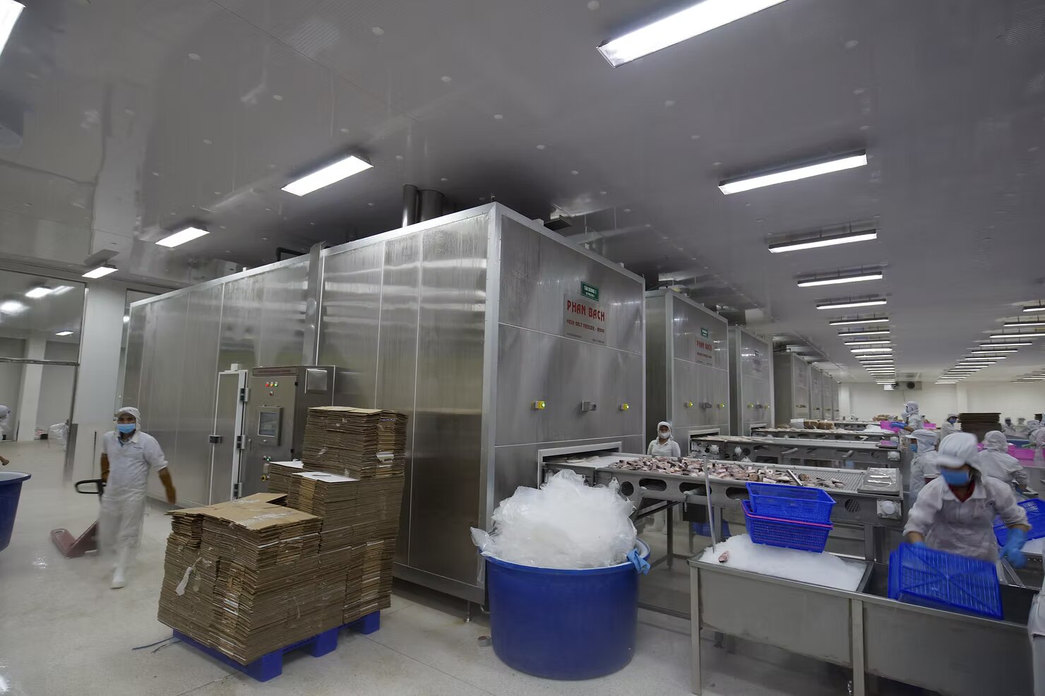 IQF is not just a freezing method — it’s a strategic tool for food manufacturers.